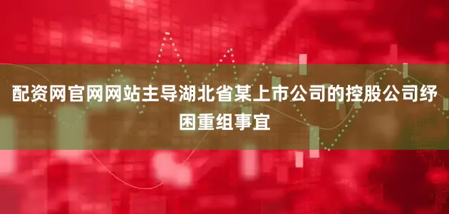 配资网官网网站主导湖北省某上市公司的控股公司纾困重组事宜