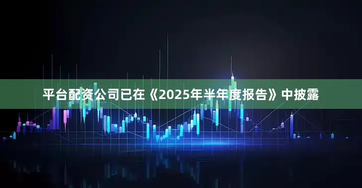 平台配资公司已在《2025年半年度报告》中披露