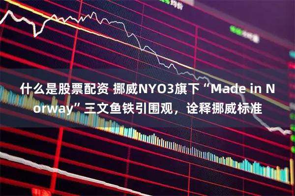 什么是股票配资 挪威NYO3旗下“Made in Norway”三文鱼铁引围观，诠释挪威标准
