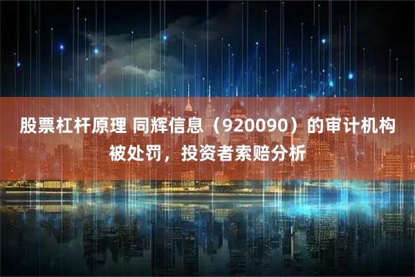 股票杠杆原理 同辉信息（920090）的审计机构被处罚，投资者索赔分析